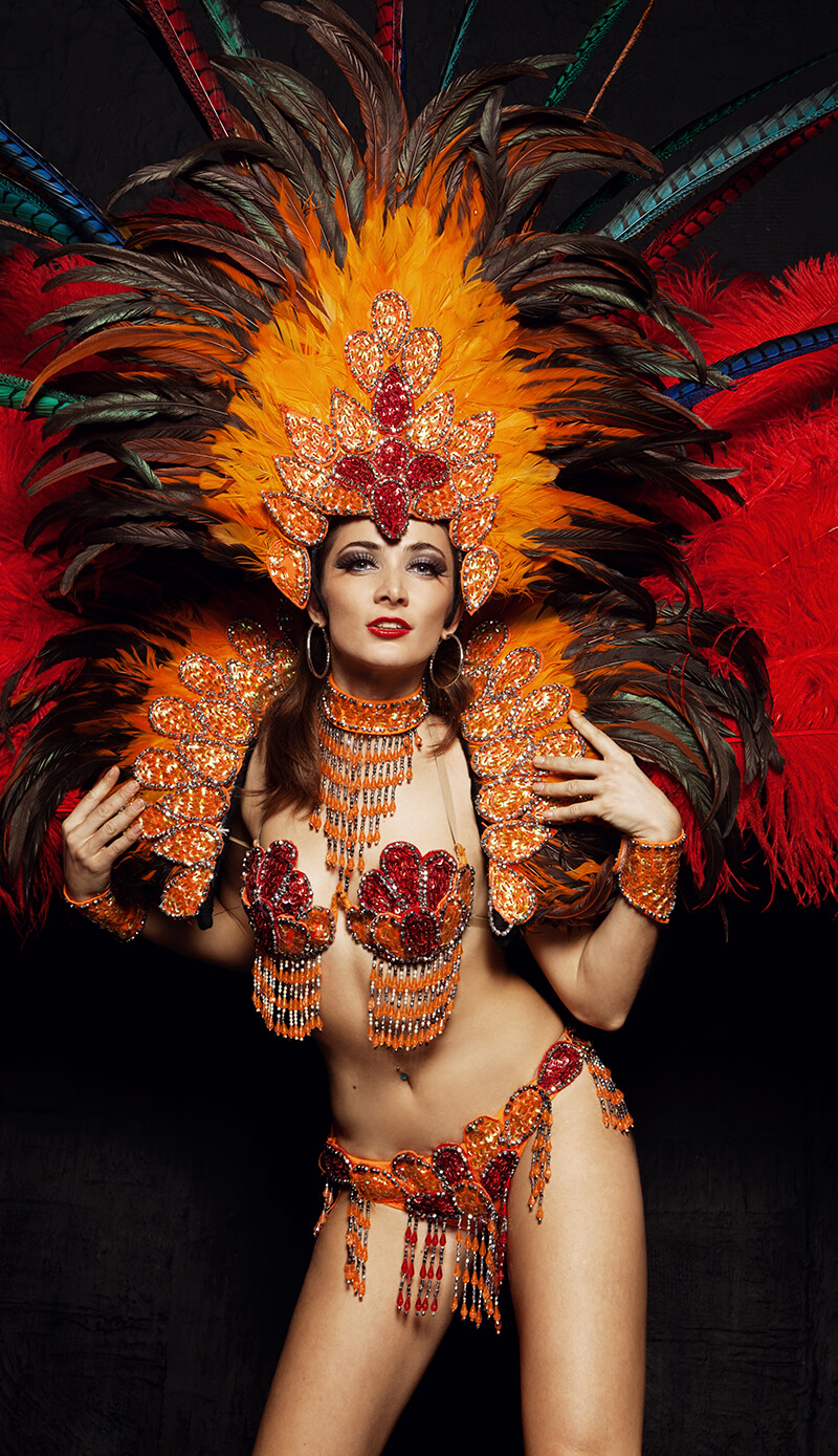 A girl in carnival costume